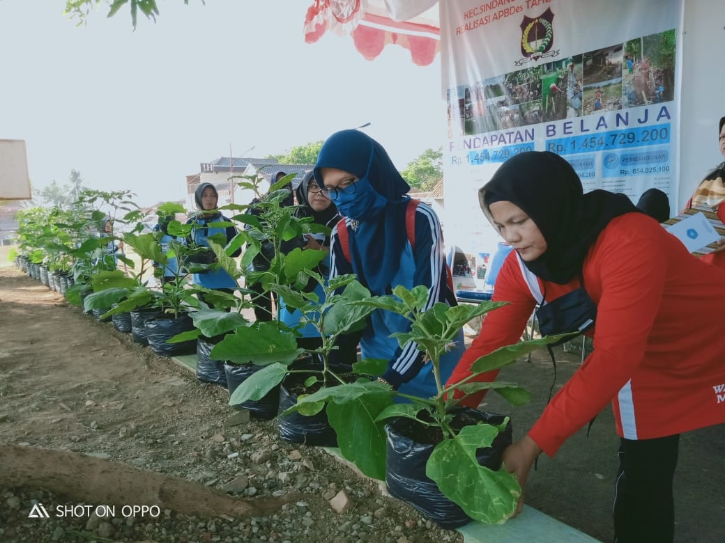 PANEN SABDARUM (SWASEMBADA DALAM RUMAH) PKK DESA KERTAYASA