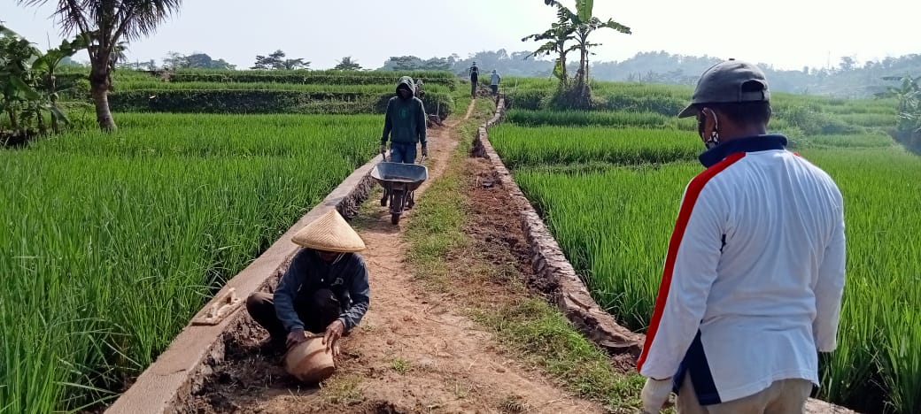 Pembangunan Jalan Usaha Tani