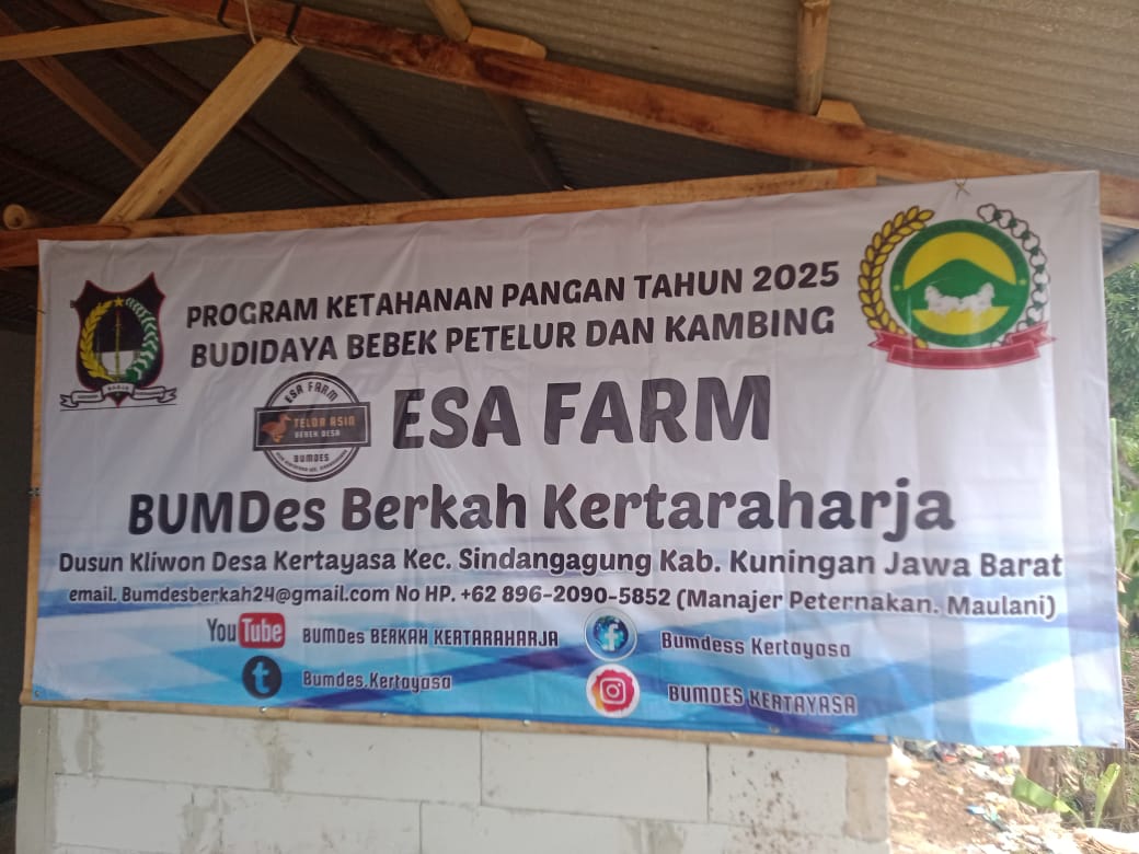 Bumdes Kertayasa Kembangkan Program Peternakan Bebek Petelur untuk Ketahanan Pangan Desa